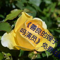 《善良的嫂子3中字巴巴鱼汤饭惹人啦卡吗演员》免费在线观