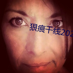 狠痕干线2022