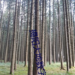 揭(jiē)阳大地(dì)数(shù)字影(yǐng)院(yuàn)