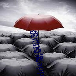 盘他直播app免费下载 （羊狠狼贪）