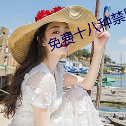 免费十八种禁用网站游戏