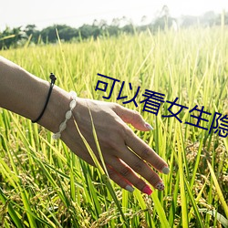 可以看女(nǚ)生隐私部(bù)位(wèi)的软件v1.0.16