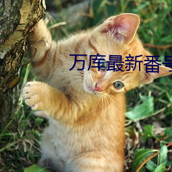 万库最新番(番)号查(查)询(詢)网