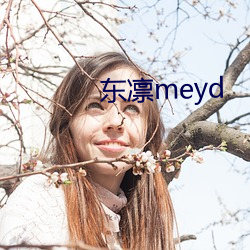 東凜meyd