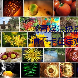 《青娱乐极品视觉盛宴mp4》高清不卡在线观看