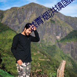 洪青烟洪镇国的小(小)说