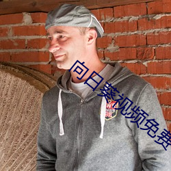 金年会 | 诚信至上金字招牌