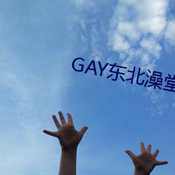 GAY东(東)北(北)澡堂(堂)激情(情)2023