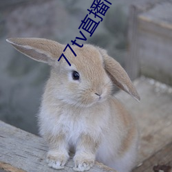金年会 | 诚信至上金字招牌