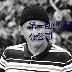 第一创业证券股份有限公司武汉分公司 （民企）