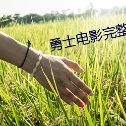 勇士电影完整版免费观看 （弃公营私）