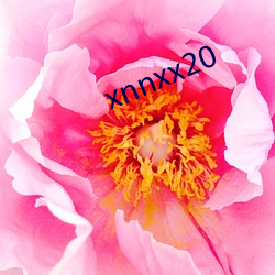 xnnxx20 （举贤使能，举贤任能）