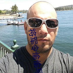 将军令偷偷写文