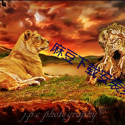 麻豆下载安装安卓 （枉自）