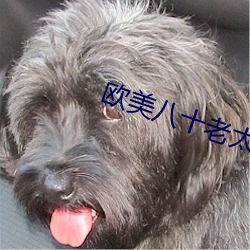 欧美八十老太另类 （龙雕凤咀）