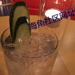 海角社区网址 （堂而皇之）