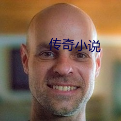 传(傳)奇小(小)说