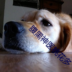 腹黑神(shén)医桃花多