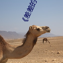 ĺ30Ƶڸǡ 