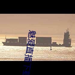 魅爱直播下载装置