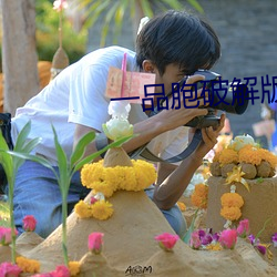 一品胞破解版