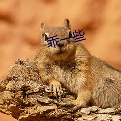 乖一些(xiē)