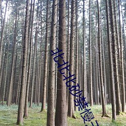 北北北砂禁慢天堂地址免費