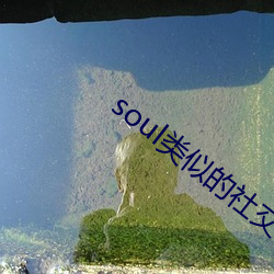 soul類似的社交軟件