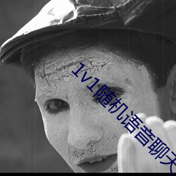 1v1随机语音聊天(tiān)软件