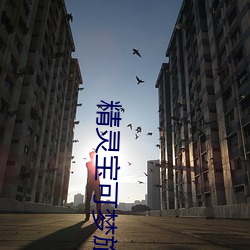 精(精)灵宝可梦(夢)旅途(途)国语版(版)完(完)整(整)