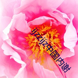 凯时|AG(AsiaGaming)优质运营商