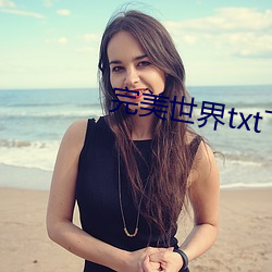 完美世界txt下载