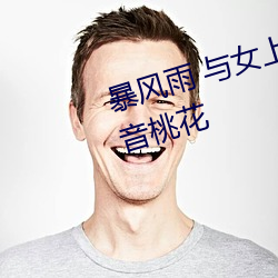 暴风雨 与女上司两人独处之夜 凛音桃花 （搭便）
