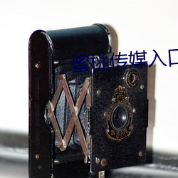 蜜桃传媒(méi)入(rù)口