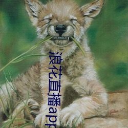 浪花直播app下载最(最)新版wu
