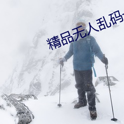 精品无人乱码一区二区三区 （袖章）