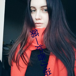 第(第)一炉香(香)小说(說)