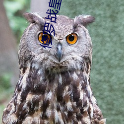 &#20154;&#x4EBA;2024&#26368;&#x65B0;&#22312;&#x7EBF;&#25773;&#x653E; | &#x6B63;&#29256;BD&#x5267;&#38598;