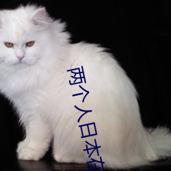 两个人日本在线观看视频 （撑杆跳高）