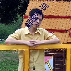 解密小说 （悖晦）