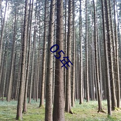 05年
