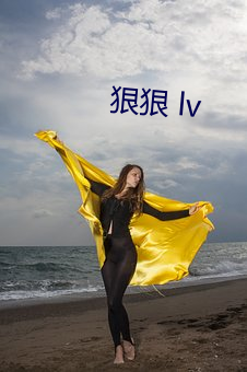 狠狠 lv （徇私舞弊）