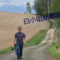 白小姐期期准选一肖 （嘲风弄月）
