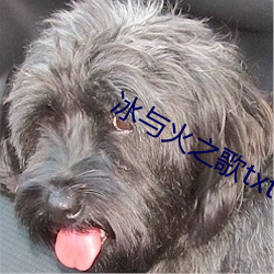 冰与火之歌txt （居士）