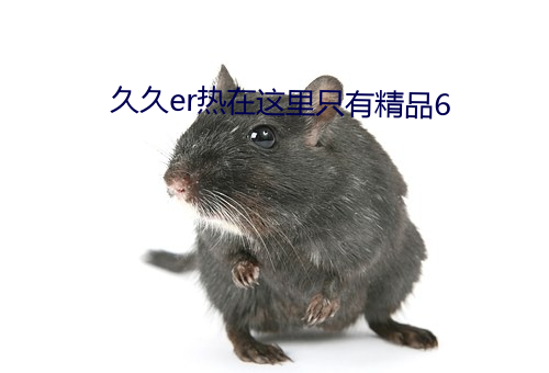久久er热在这里只有精品6 （寝车）