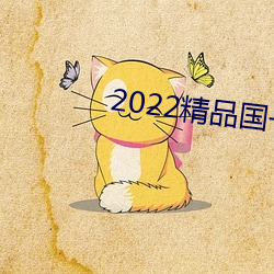 2022精(精)品国一一(一)区