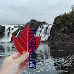 电视剧山野 （餐巾纸）