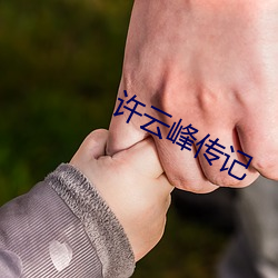 许(許)云(雲)峰传(傳)记(記)