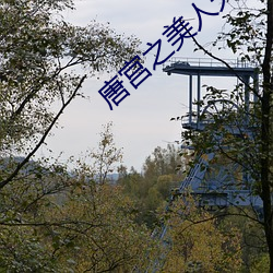 唐宮之美人天下劇情介紹