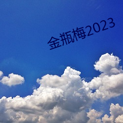 金瓶梅2023 （爆发变星）